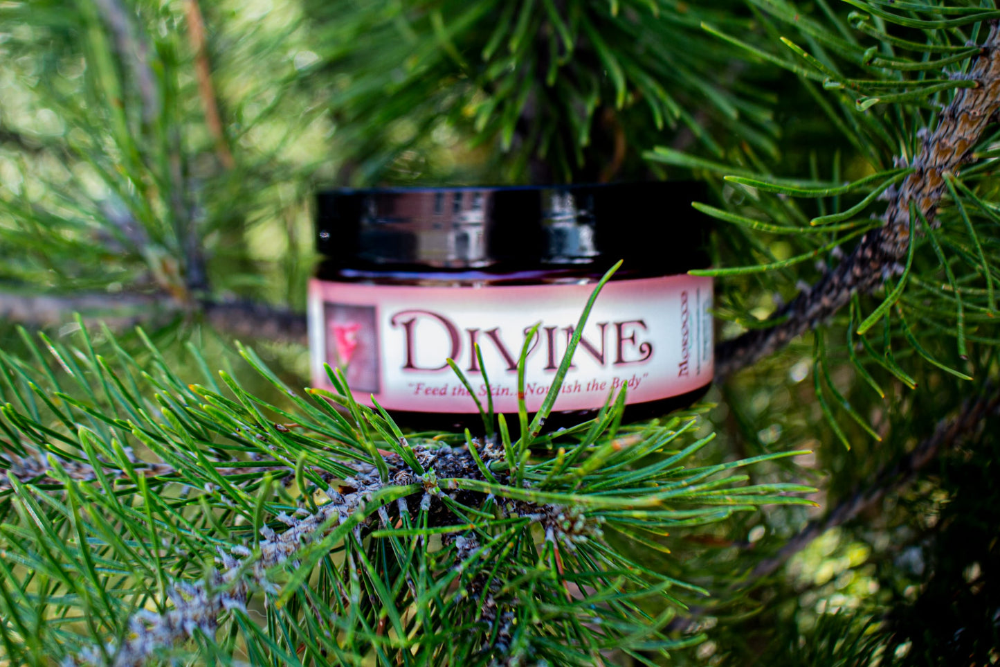 Divine Body Butter