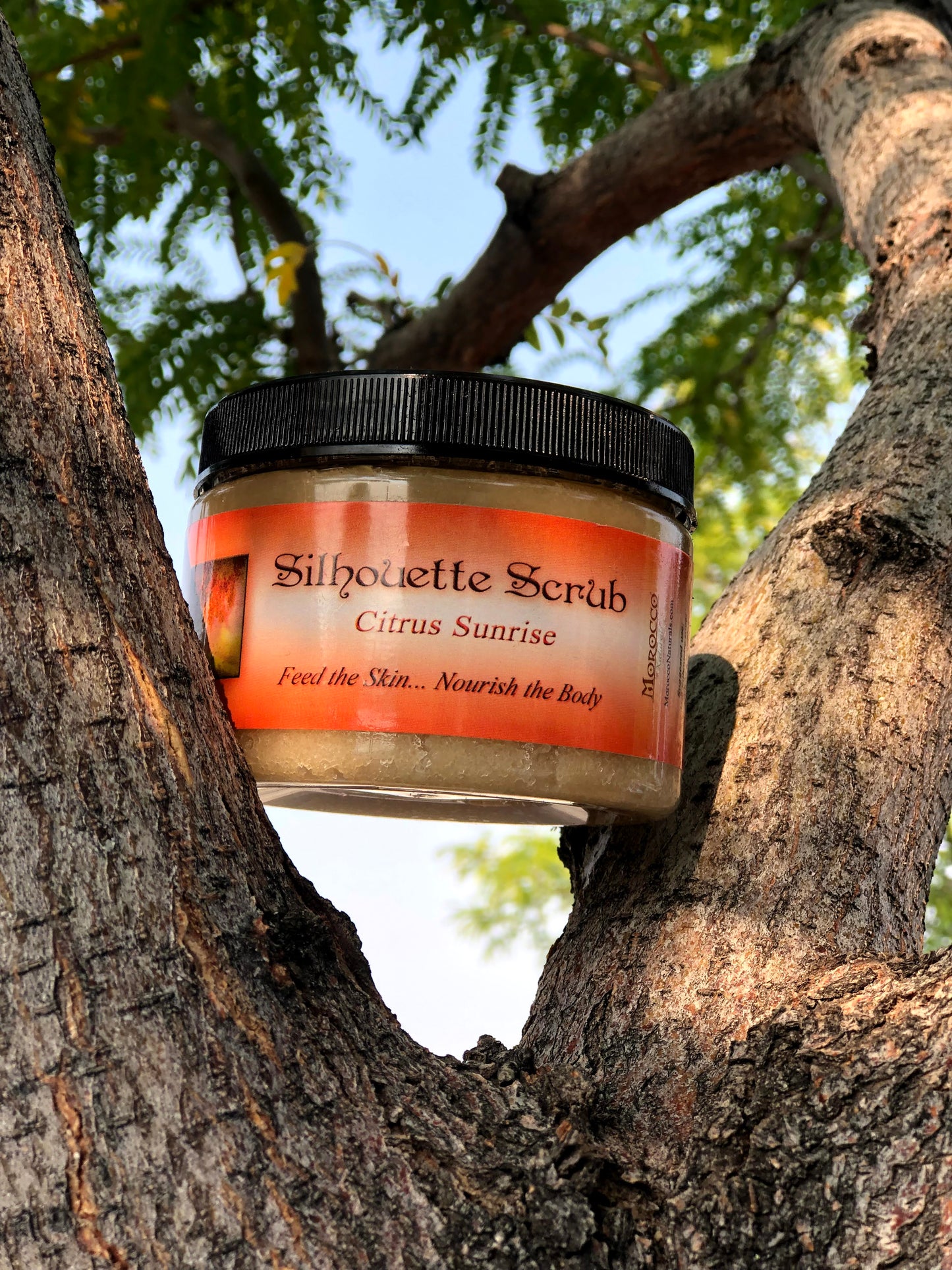 Silhouette Sugar Scrub