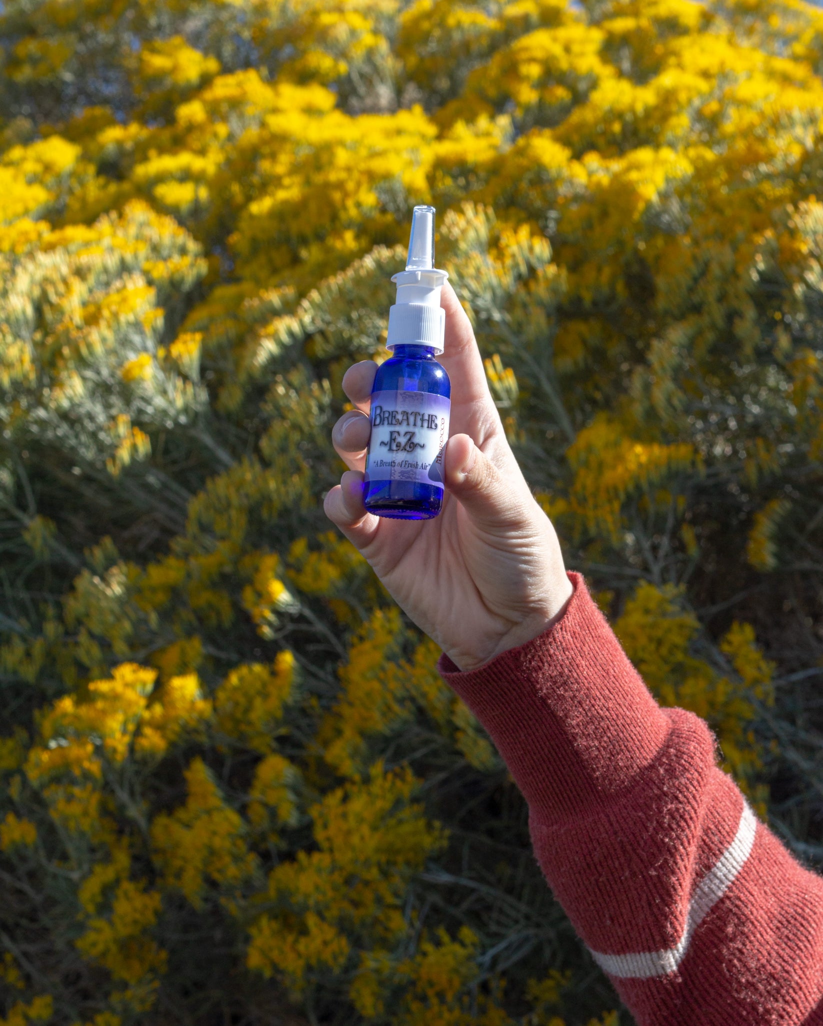 Breathe EZ Nasal Spray Morocco Naturals Inc.