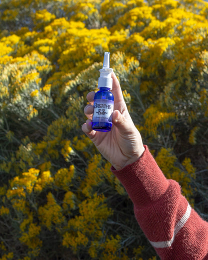Breathe EZ Nasal Spray